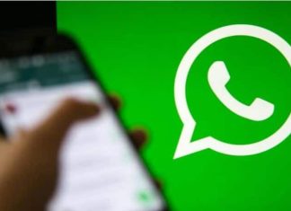 WhatsApp ajuda a emplacar vendas das empresas