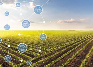 Tecnologia de segurança oferece maior proteção ao agronegócio