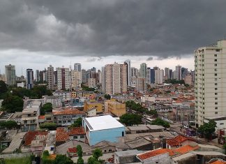 Empresa de comunicação promove ação com jornalistas do Pará