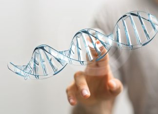 Estudo sobre genoma pode ajudar na prevenção da obesidade