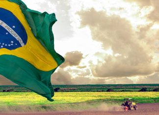 Principais desafios do agronegócio podem ser solucionados com seguro agrícola