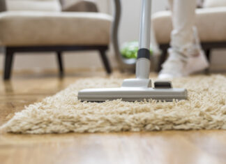 Limpeza periódica de tapetes pode prevenir doenças para pessoas e pets