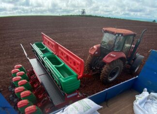 Setor de fertilizantes especiais cresce 41,8% em 2020
