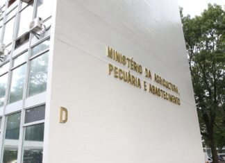 Brasil negocia compra de fertilizantes na Jordânia, Egito e Marrocos