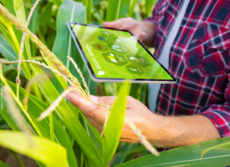 Bits no prato? Tecnologia digital chega à alimentação