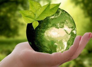 Dia Mundial do Meio Ambiente será comemorado no dia 5 de junho