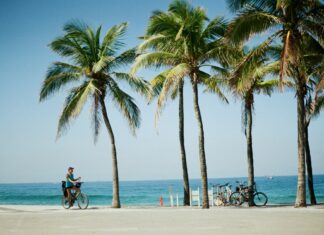 Turismo fatura R$ 15,4 bi só em março, segundo FecomercioSP