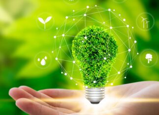 Sustentabilidade está sendo reconhecida como fonte de inovação