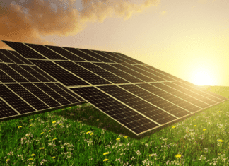 Energia solar: agronegócio tem perspectiva de expansão do setor