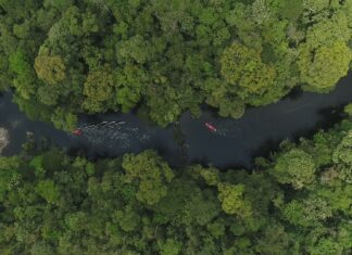 Parque das Neblinas participa da campanha Um Dia No Parque 2022