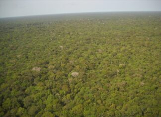 Debate propõe soluções e gerenciamento de recursos da Amazônia