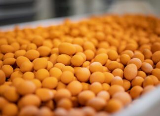 Dori Alimentos divulga crescimento de 31% da receita bruta no segundo trimestre