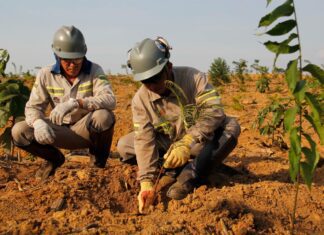 Mineração anunciará avanços nas práticas ESG no Brasil