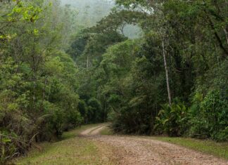Camping sustentável oferece imersão na Mata Atlântica próximo à capital paulista