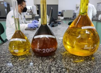 Congresso Nacional será decisivo para retomar expansão dos biocombustíveis