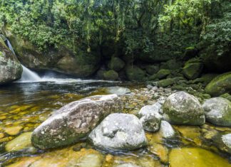 CBH Baía de Guanabara participa do ENCOB 2022, evento de comitês de bacias