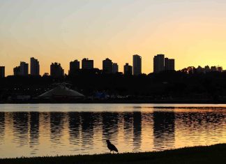 Livro de suspense tem como cenário a cidade de Curitiba