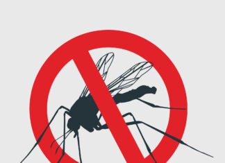 Primeiro semestre bate recorde de mortes por dengue