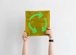 Economia circular: contribuição para um mundo mais sustentável
