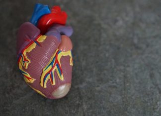 Setembro Vermelho dissemina alertas contra doenças cardíacas