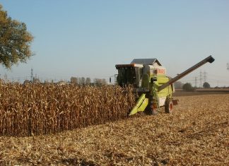 Agrônomos são lembrados como essenciais para a saúde da população