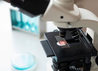 Perícia grafotécnica pode identificar texto sem autoria