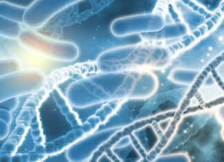 Inimigo indigesto: H. pylori é a causa de muitos problemas