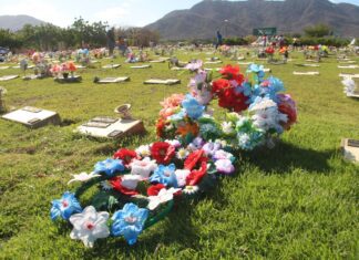 Mercado funerário se adapta à longevidade da população brasileira