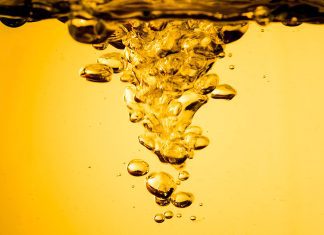 Dia Internacional do Biodiesel destaca uso no Brasil