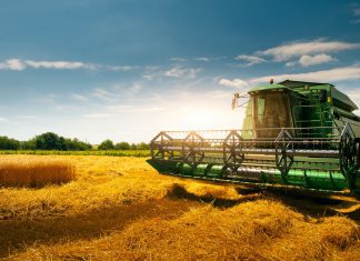 Soluções financeiras impulsionam o agronegócio brasileiro