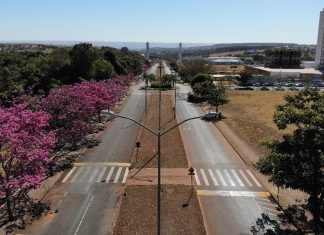 Minas Gerais é o segundo estado em número de corridas de rua no Brasil
