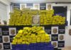 Ação policial em Carapicuíba resulta na apreensão de mais de 330 kg de maconha